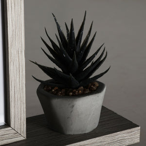 PHOTO FRAME