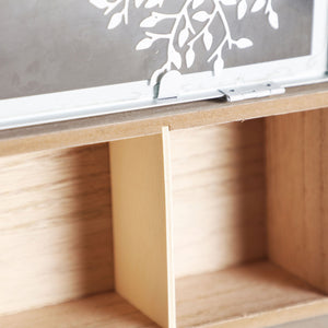 EBER BOX