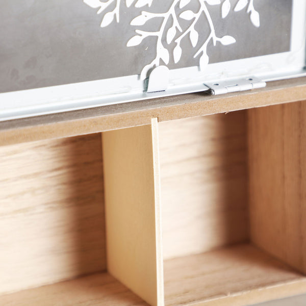 EBER BOX