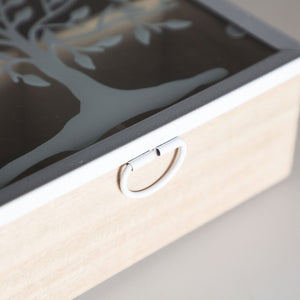 EBER BOX