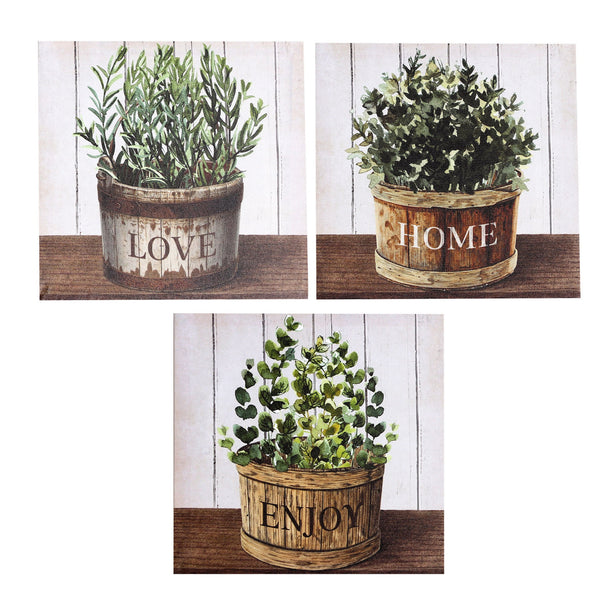 ASSORTED CANVAS 3