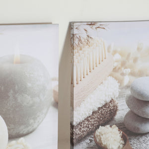 ASSORTED CANVAS 3