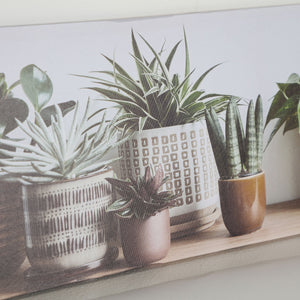 ASSORTED CANVAS 2