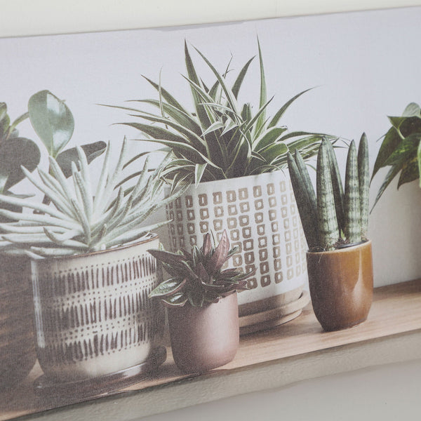 ASSORTED CANVAS 2