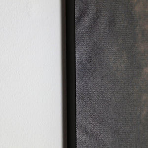 CANVAS ASSORTED 2