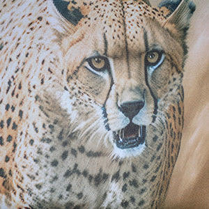 CANVAS ASSORTED 2