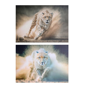 CANVAS ASSORTED 2