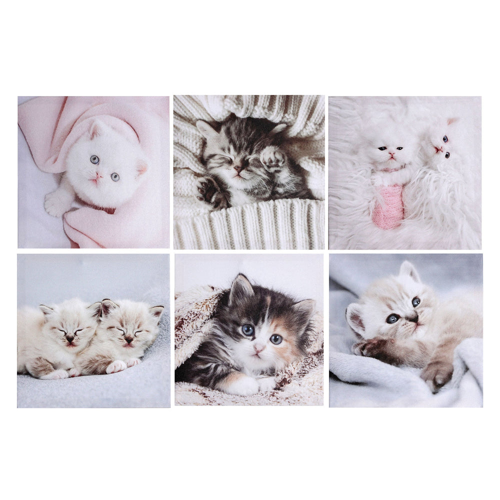CANVAS ASSORTED 6