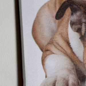 CANVAS ASSORTED 4