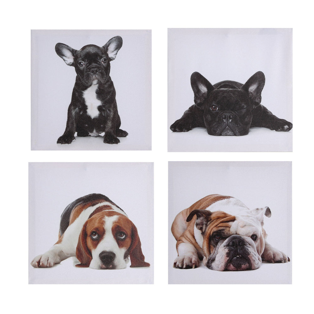 CANVAS ASSORTED 4