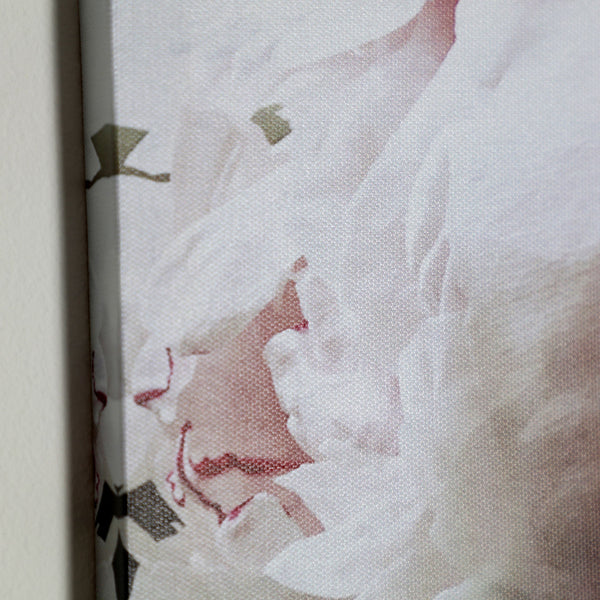 CANVAS ASSORTED 2