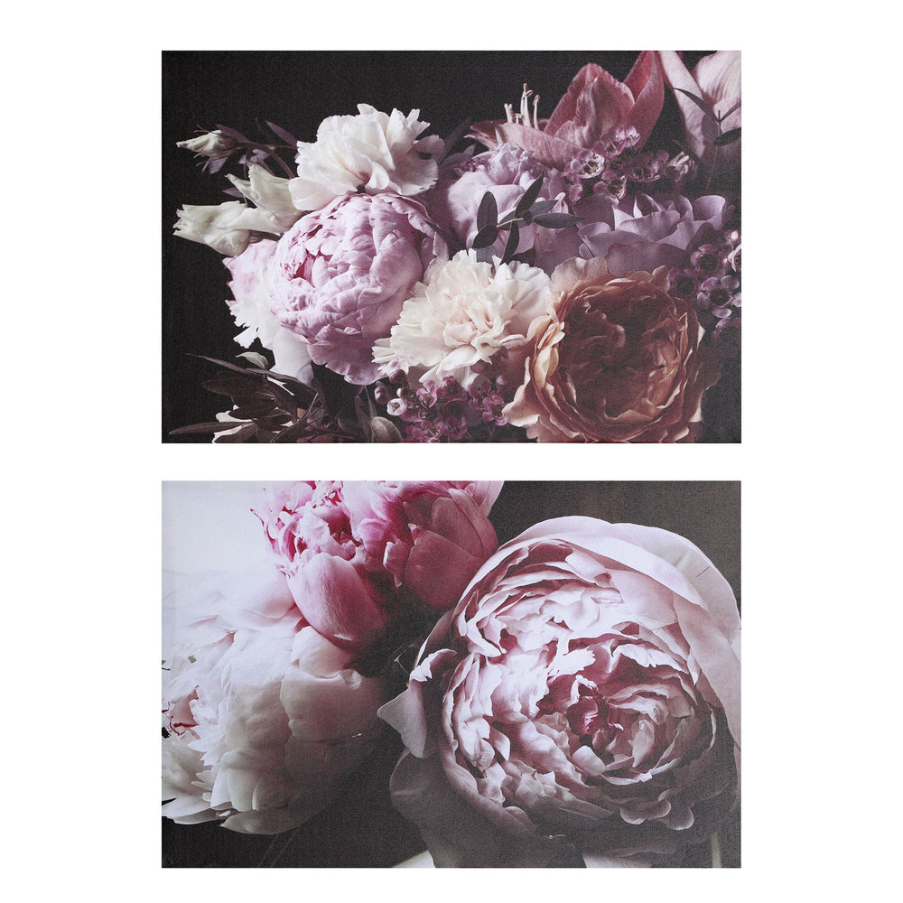 CANVAS ASSORTED 2