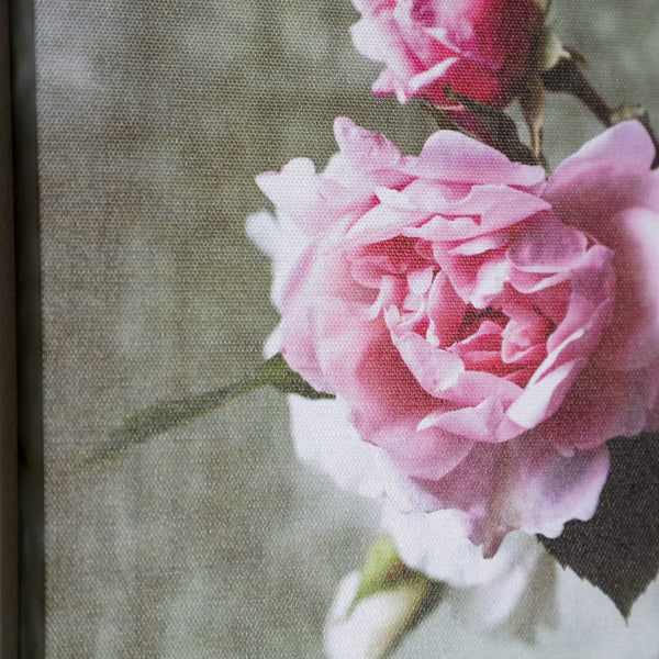 CANVAS ASSORTED 4