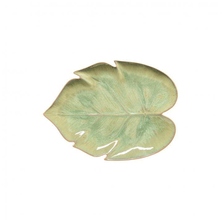 Monstera leaf 27