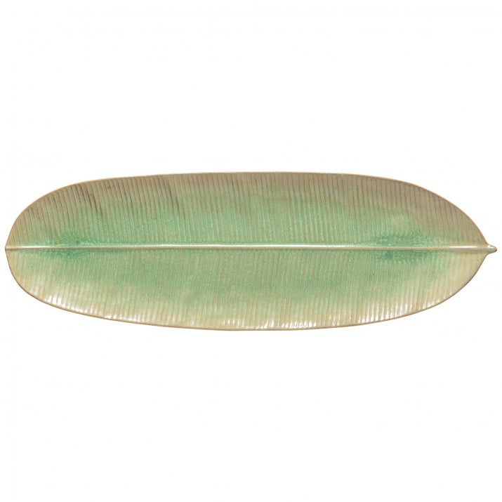 Banana leaf 53