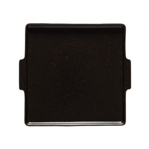 Square plate serves 31