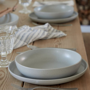 Dinner plate 27