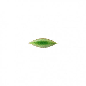 18cm leaf tray
