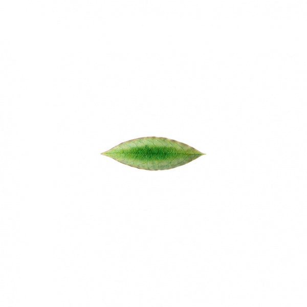 18cm leaf tray