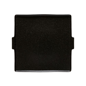 Square plate serves 31