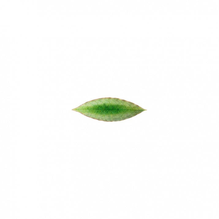 18cm leaf tray