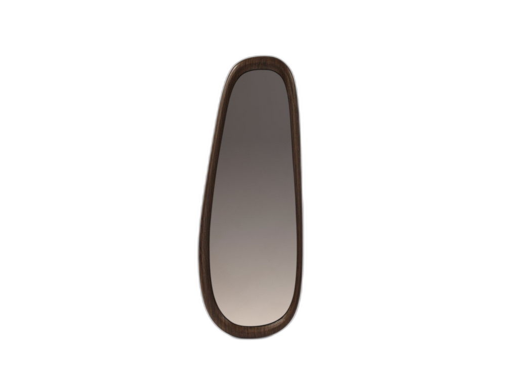 Organic Wall Mirror – Modern Decorative Full-Length Mirror with Walnut Frame