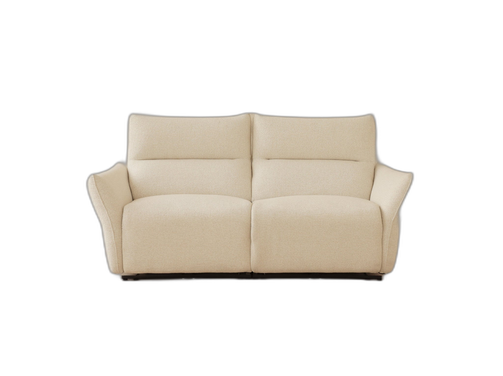 Electric Recliner Sofa – Modern 2-Seater Adjustable Couch W203