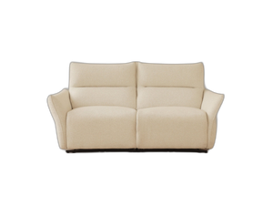 Electric Recliner Sofa – Modern 2-Seater Adjustable Couch W203