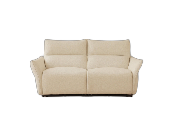 Electric Recliner Sofa – Modern 2-Seater Adjustable Couch W203