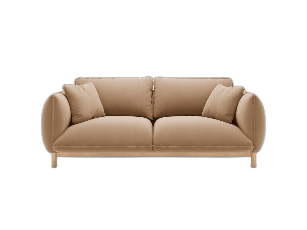 Scandinavian Style 2-Seater Sofa – Compact Wooden Frame Couch W178