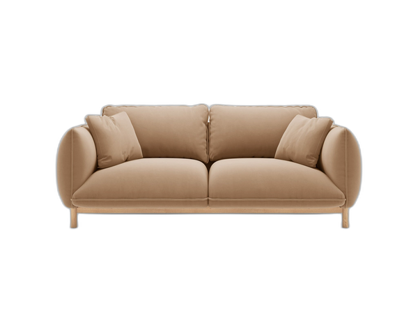 Scandinavian Style 2-Seater Sofa – Compact Wooden Frame Couch W178