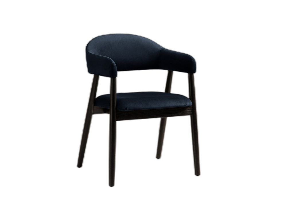 Modern Upholstered Dining Chair – Wooden Frame Armchair