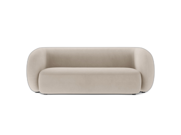 Compact 2-Seater Sofa with Curved Design & Soft Comfort W183
