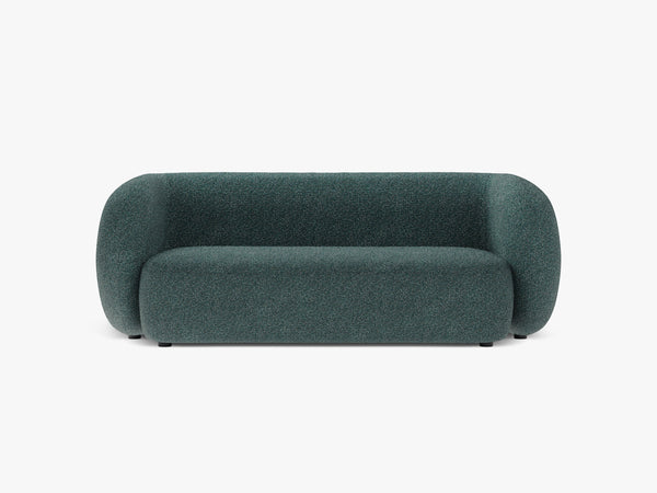 Compact 2-Seater Sofa with Curved Design & Soft Comfort W183