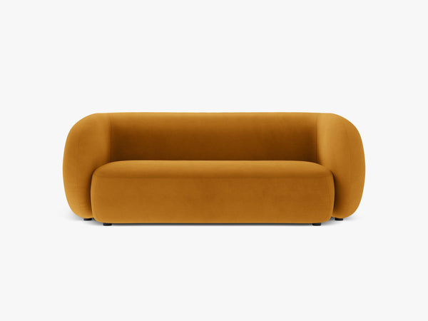 Compact 2-Seater Sofa with Curved Design & Soft Comfort W183
