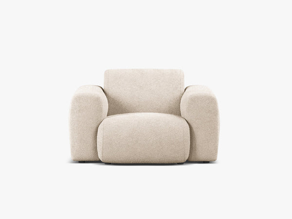 Modern Armchair with Curved Design & Soft Comfort