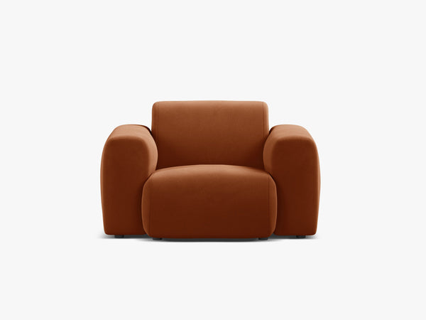 Modern Armchair with Curved Design & Soft Comfort