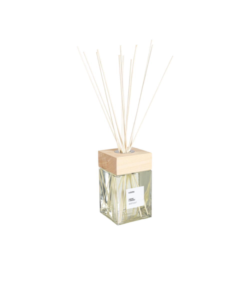 Lemon and Ginger Diffuser 2500ml