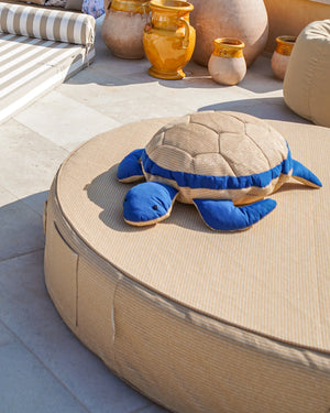 Turtle Cushion