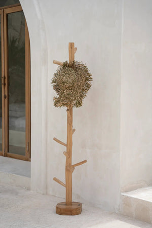 Solid Teak Wood Coat Hanger – Natural Finish
