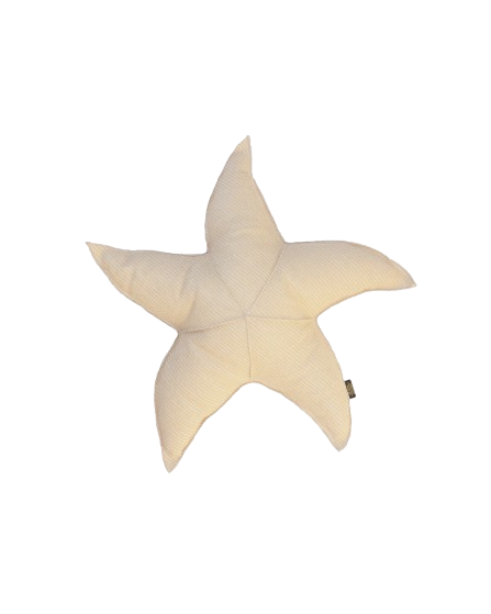 Star Cushion