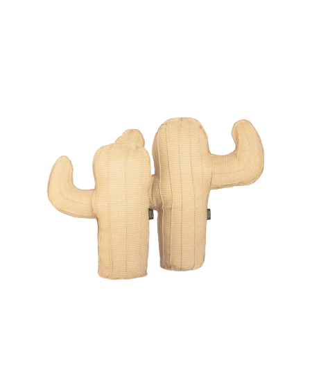 Cactus Cushion
