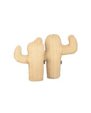 Cactus Cushion