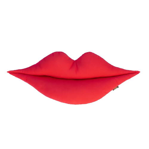 Lip Cushion